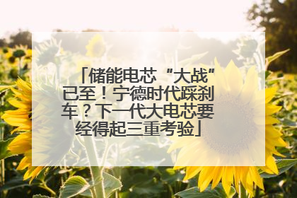 储能电芯“大战”已至！宁德时代踩刹车？下一代大电芯要经得起三重考验