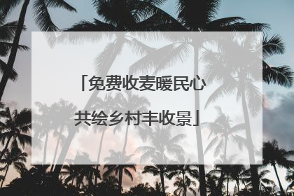 免费收麦暖民心 共绘乡村丰收景