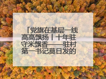 党旗在基层一线高高飘扬丨十年驻守米飘香——驻村第一书记莫日发的乡村印记