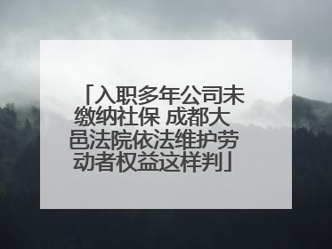 入职多年公司未缴纳社保 成都大邑法院依法维护劳动者权益这样判