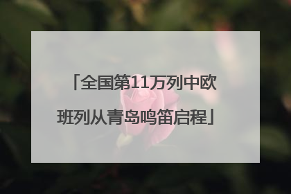 全国第11万列中欧班列从青岛鸣笛启程