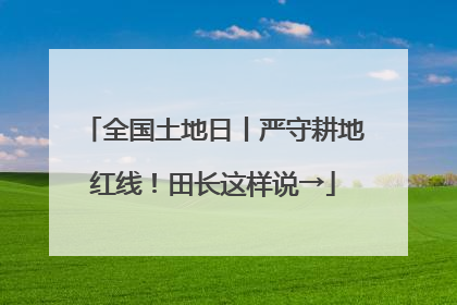 全国土地日丨严守耕地红线！田长这样说→