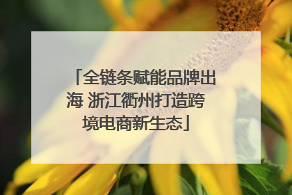 全链条赋能品牌出海 浙江衢州打造跨境电商新生态