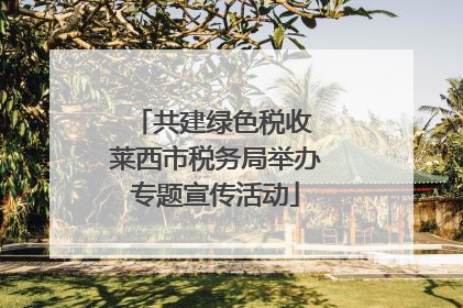 共建绿色税收 莱西市税务局举办专题宣传活动