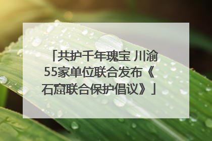 共护千年瑰宝 川渝55家单位联合发布《石窟联合保护倡议》