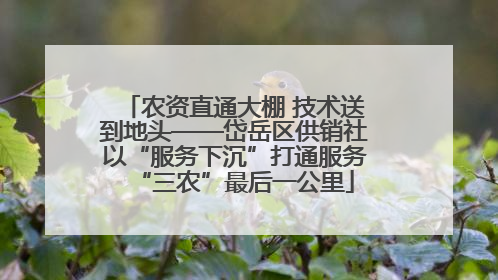 农资直通大棚 技术送到地头——岱岳区供销社以“服务下沉”打通服务“三农”最后一公里