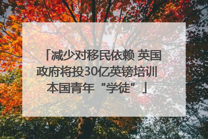 减少对移民依赖 英国政府将投30亿英镑培训本国青年“学徒”