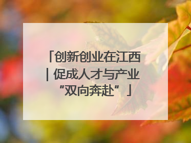 创新创业在江西｜促成人才与产业“双向奔赴”