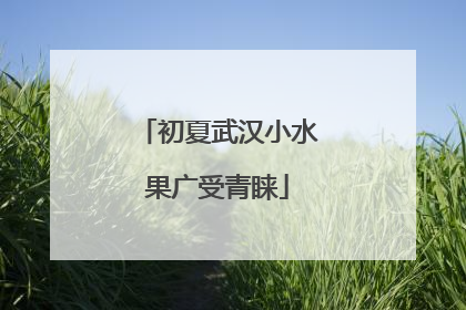 初夏武汉小水果广受青睐