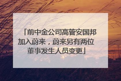 前中金公司高管安国邦加入蔚来，蔚来另有两位董事发生人员变更