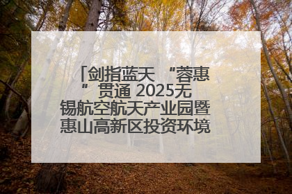 剑指蓝天 “蓉惠”贯通 2025无锡航空航天产业园暨惠山高新区投资环境推介会在成都举行