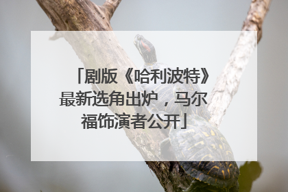 剧版《哈利波特》最新选角出炉，马尔福饰演者公开