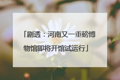 剧透：河南又一重磅博物馆即将开馆试运行