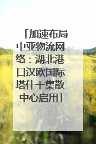 加速布局中亚物流网络：湖北港口汉欧国际塔什干集散中心启用