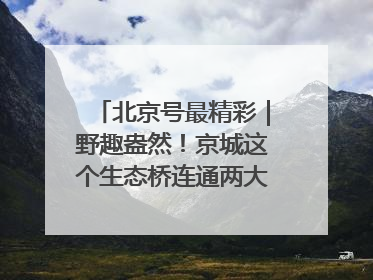 北京号最精彩｜野趣盎然！京城这个生态桥连通两大网红公园