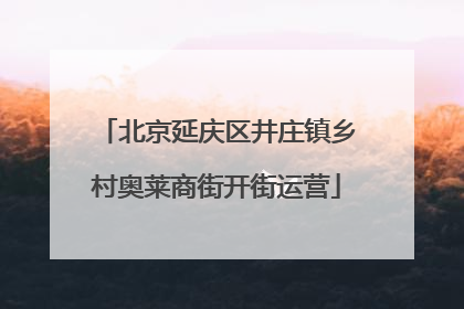 北京延庆区井庄镇乡村奥莱商街开街运营