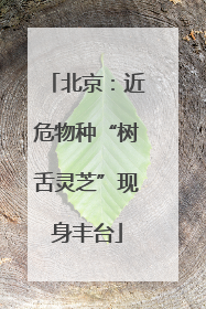 北京：近危物种“树舌灵芝”现身丰台