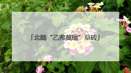 北魏“乙弗莫瓌”墓砖