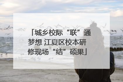 城乡校际“联”通梦想 江夏区校本研修现场“结”硕果
