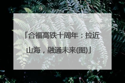 合福高铁十周年：拉近山海，融通未来(图)