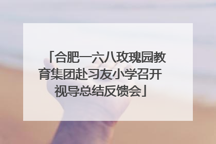 合肥一六八玫瑰园教育集团赴习友小学召开视导总结反馈会