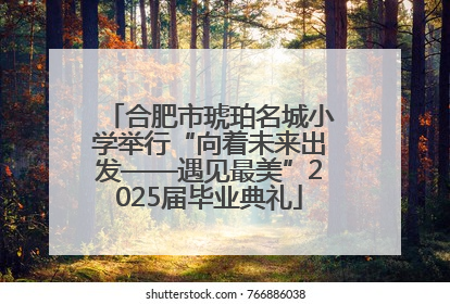 合肥市琥珀名城小学举行“向着未来出发——遇见最美”2025届毕业典礼