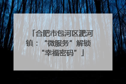 合肥市包河区淝河镇：“微服务”解锁“幸福密码”