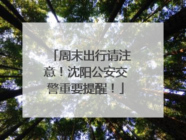 周末出行请注意！沈阳公安交警重要提醒！