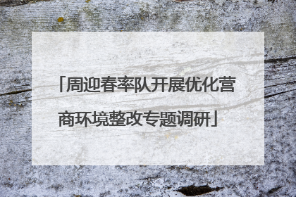 周迎春率队开展优化营商环境整改专题调研