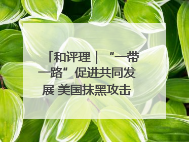 和评理｜“一带一路”促进共同发展 美国抹黑攻击酸味十足