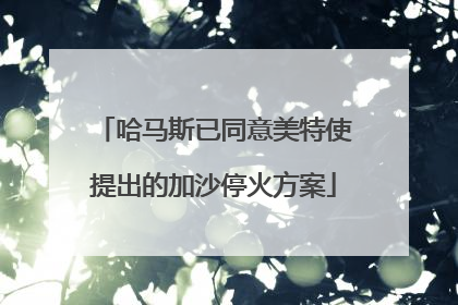哈马斯已同意美特使提出的加沙停火方案