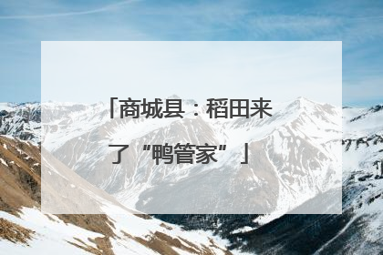 商城县：稻田来了“鸭管家”