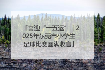 喜迎“十五运”｜2025年东莞市小学生足球比赛圆满收官