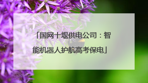 国网十堰供电公司：智能机器人护航高考保电