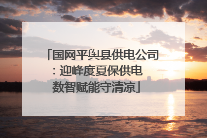 国网平舆县供电公司：迎峰度夏保供电  数智赋能守清凉