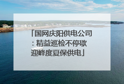 国网庆阳供电公司：精益巡检不停歇 迎峰度夏保供电