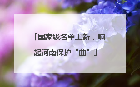 国家级名单上新，响起河南保护“曲”