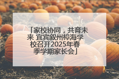 家校协同，共育未来 宜宾叙州樟海学校召开2025年春季学期家长会