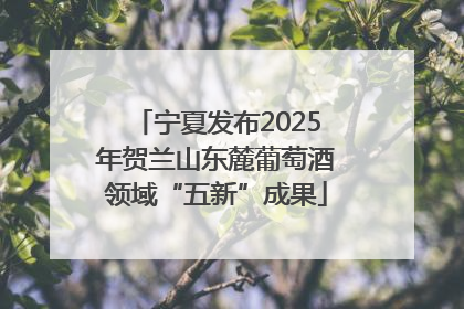 宁夏发布2025年贺兰山东麓葡萄酒领域“五新”成果