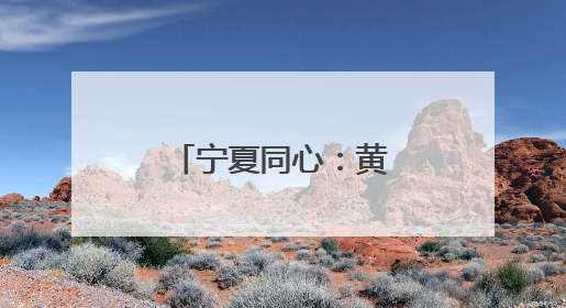 宁夏同心：黄河水润枸杞红