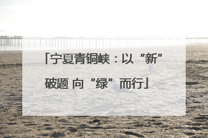 宁夏青铜峡：以“新”破题 向“绿”而行