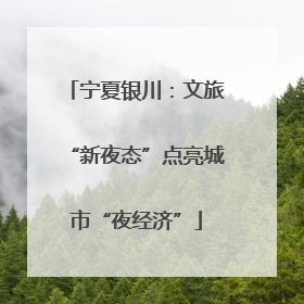 宁夏银川：文旅“新夜态”点亮城市“夜经济”