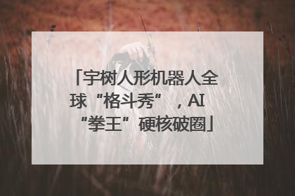 宇树人形机器人全球“格斗秀”，AI“拳王”硬核破圈
