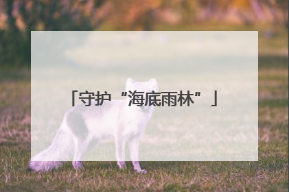 守护“海底雨林”