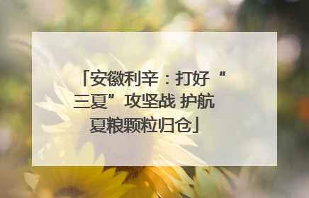安徽利辛：打好“三夏”攻坚战 护航夏粮颗粒归仓