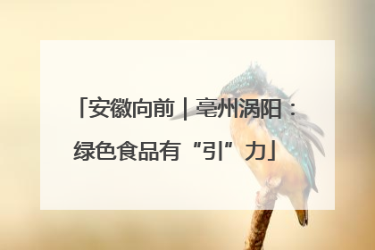安徽向前｜亳州涡阳：绿色食品有“引”力