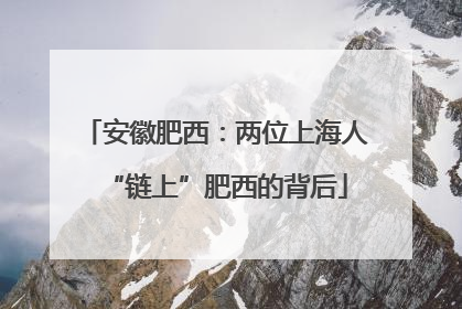 安徽肥西：两位上海人“链上”肥西的背后