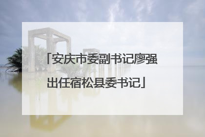 安庆市委副书记廖强出任宿松县委书记