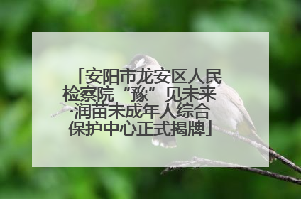 安阳市龙安区人民检察院“豫”见未来·润苗未成年人综合保护中心正式揭牌