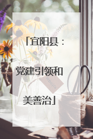 宜阳县：党建引领和美善治